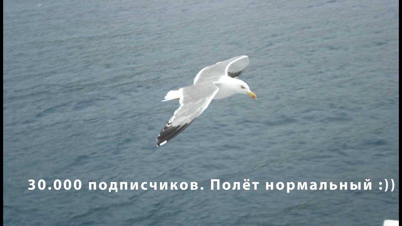 30 000 подписчиков: обращение к друзьям и недругам. смотреть онлайн