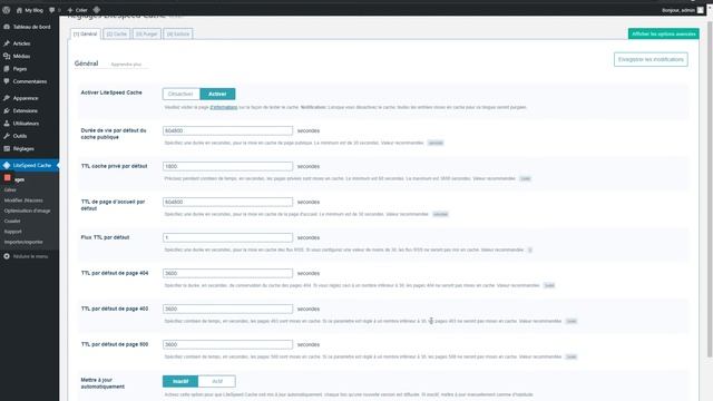 Litespeed - LScache - Wordpress - The World - HybridCloud - PlanetHoster смотреть онлайн