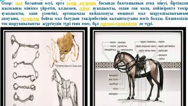 Қуанышбаева А Көшпелі өркениет құндылықтары смотреть онлайн
