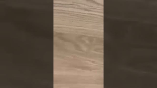 Двери Волховец со скрытым коробом смотреть онлайн