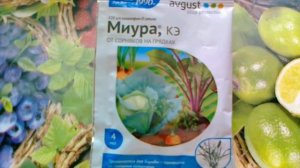 Миура- гербицид для борьбы со злаковыми сорняками.