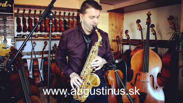 Stewart Ellis Student Series altový saxofón | SE-510-L смотреть онлайн