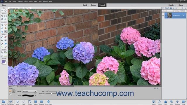 Photoshop Elements 2021 Tutorial Using the Dodge Tool and the Burn Tool Adobe Training смотреть онлайн