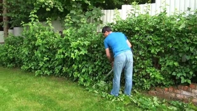 Мощный и удобный электрический кусторез Ikra Mogatec  6055 20d