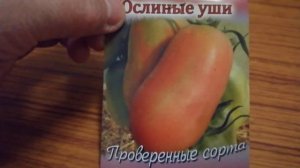 ПЕРЦЕВИДНЫЙ томат "ОСЛИНЫЕ УШИ"