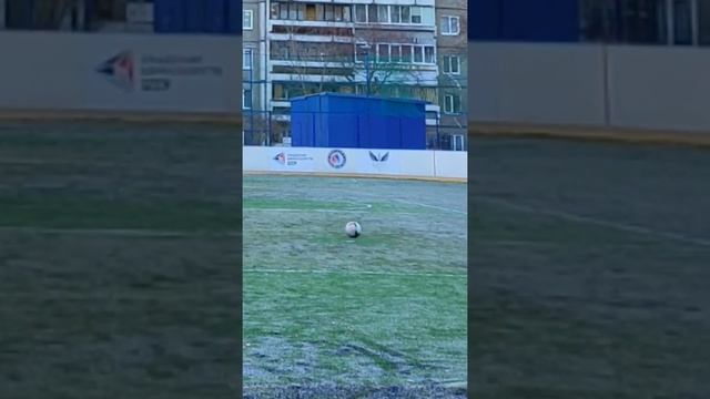 Дятлы России смотреть онлайн