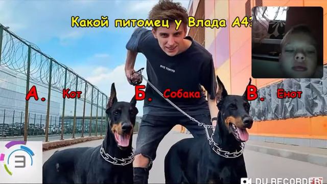 Реакция на сколько хорошо ты знаешь А4 смотреть онлайн