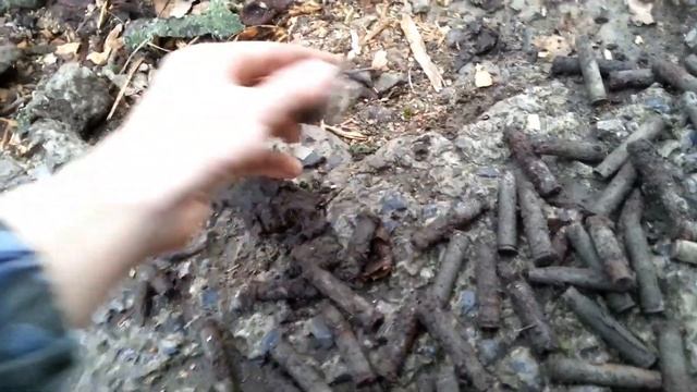 Лесной Коп С Металлоискателем Пират №27 смотреть онлайн