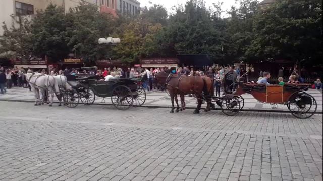 Кареты запряженные лошадьми в центре Праги (Чехия) смотреть онлайн