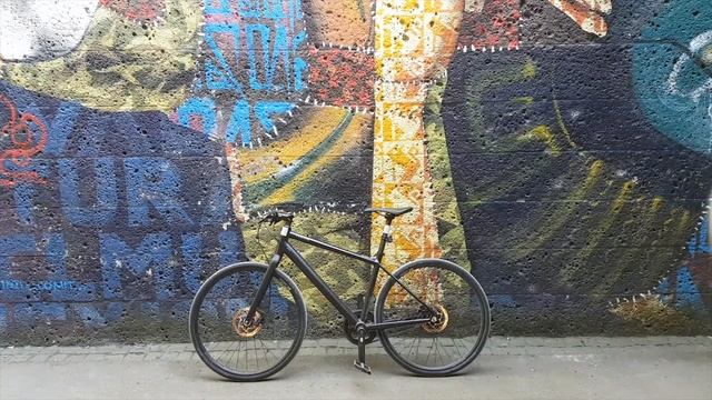 CANYON Urban 5.0 REVIEW ...lohnt sich dieses Bike? Erfahrungen nach 1 Jahr смотреть онлайн