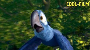 РИО 3 - НЕСЧАСТНАЯ ЛЮБОВЬ ГОЛУБЧИКА и ЖЕМЧУЖИНКИ - МУЛЬТФИЛЬМ