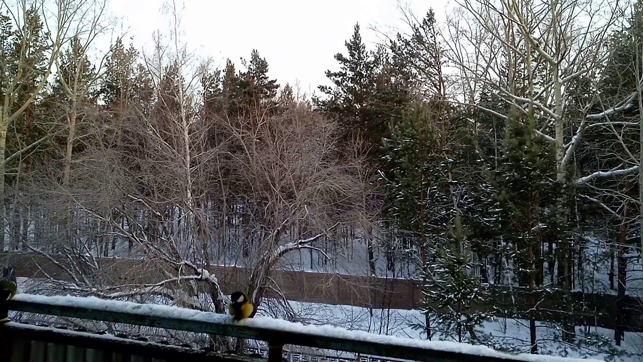 1 января 2019 г. смотреть онлайн