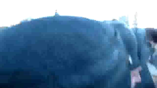 Не тронь КРАСНОЕ ЗНАМЯ! смотреть онлайн