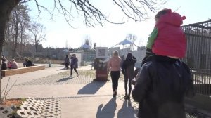 VLOG Чуть не ушла с чужим дядей. Бабушка потеряла серёжку