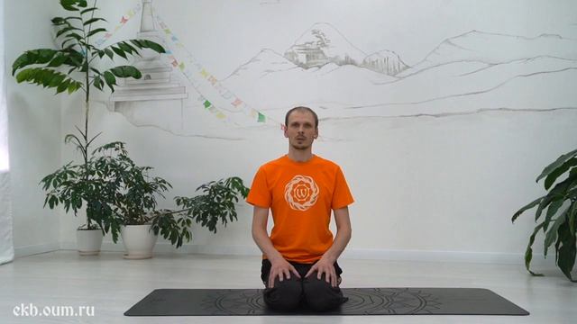 Урок 3. Тема 2. Асаны: Практика. смотреть онлайн
