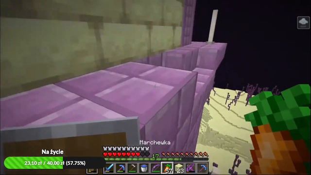 WYPRAWA DO ENDU + ELYTRA!!! - (Skrót LIVE) Minecraft DTS SMP #4 смотреть онлайн