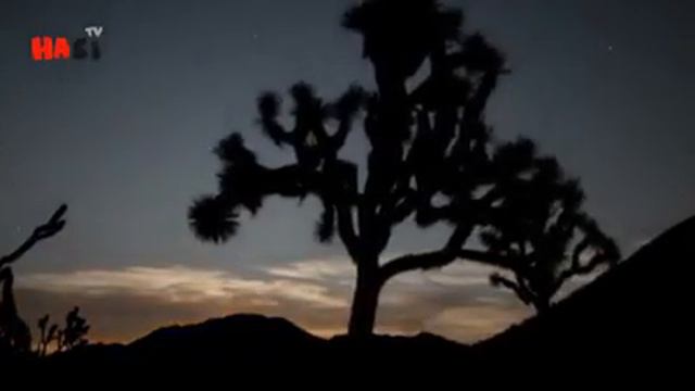 Tree on 7th Sky .Sidra tul Muntaha .Urdu смотреть онлайн