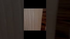 VID-20230525-WA0007.mp4
