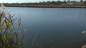 Рыбалка в городе Керчь. КЕФАЛЬ. КРЫМ