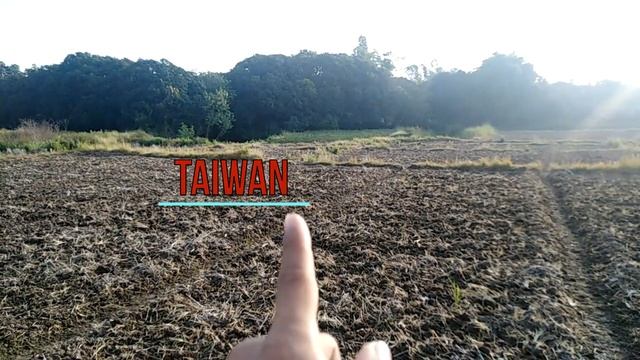 Farm layout of squash/Farm Tour/squash planting tips смотреть онлайн