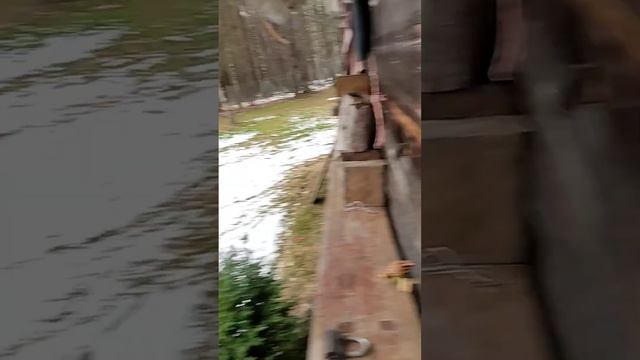 Появился помощник в семье. Кентавр 1010Д. Готовимся к весне. смотреть онлайн