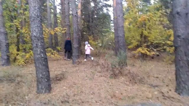 Странный сказочный осенний лес смотреть онлайн