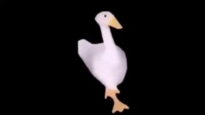 утка танцует под песня харбас туда сюда круто торкает Вода