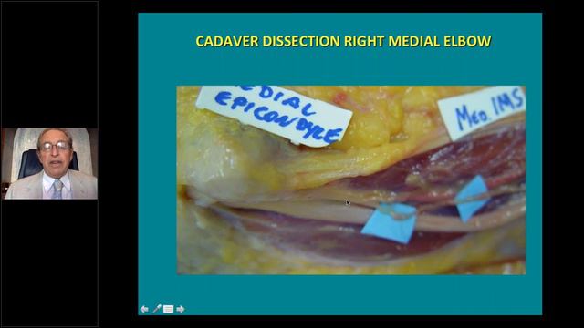 Dr. A. Lee Dellon - Buncke Clinic Virtual Visiting Professor, July 3, 2020 смотреть онлайн