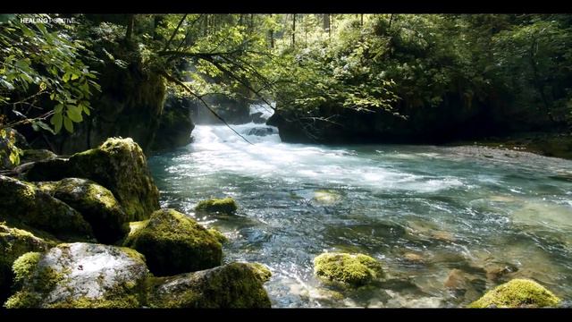 Relaxing music treats diseases of the heart and blood vessels, calms the nervous system #36 смотреть онлайн
