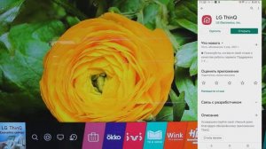 Пульт управления телевизором LG ThinQ