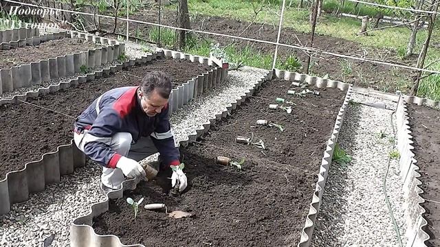 Пёс, что грядки поливает. а кот цветок свой охраняет... смотреть онлайн