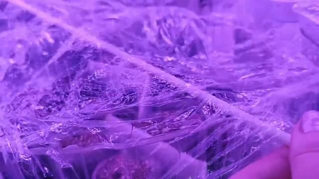 Семена цветов проросли, а что дальше? смотреть онлайн