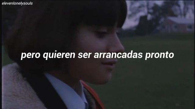 Submarine | Rosie Diamond - Daisy (Traducida al Español) смотреть онлайн