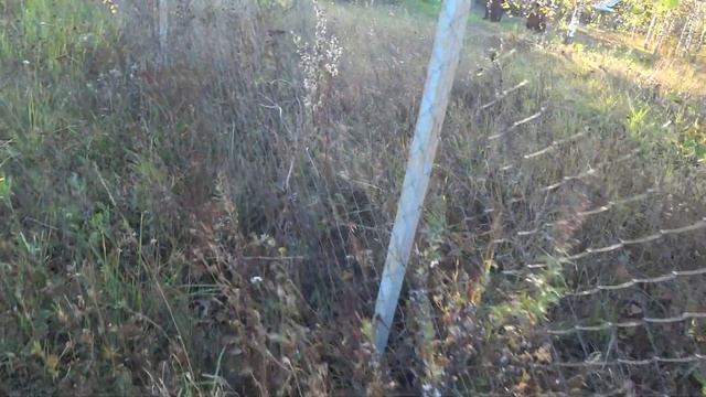 Забор из сетки Рабицы через 6 лет после монтажа! Что же с ним стало!!!???
