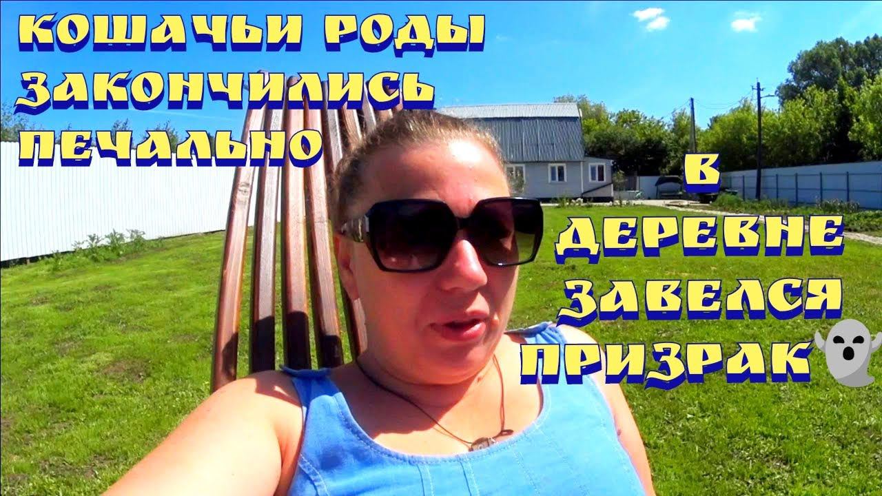 Жизнь в деревне / Болталка / Огород 2022 / Дом в деревне смотреть онлайн