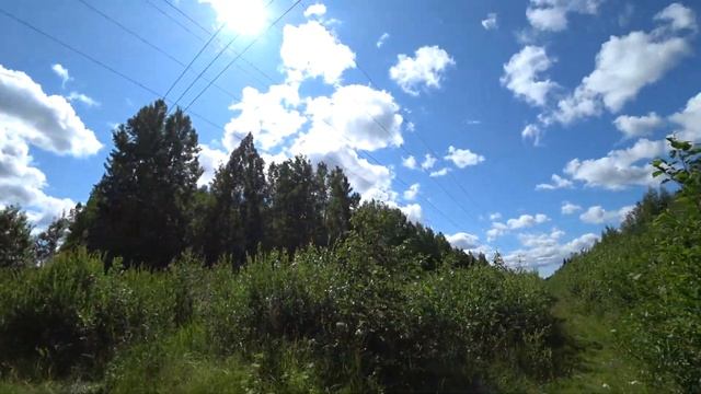 Соло прогулка от ст. Дубочки до ст. Большая Ижора. Пульмановское озеро. смотреть онлайн