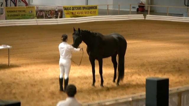 Вороная кобыла Ханга смотреть онлайн