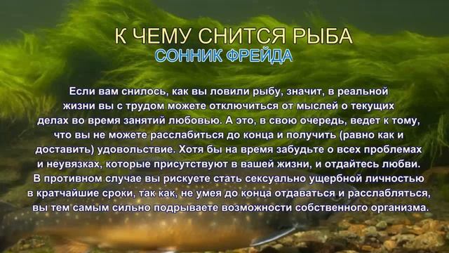 К чему снится рыба. Сонник Фрейда. Толкование снов. смотреть онлайн