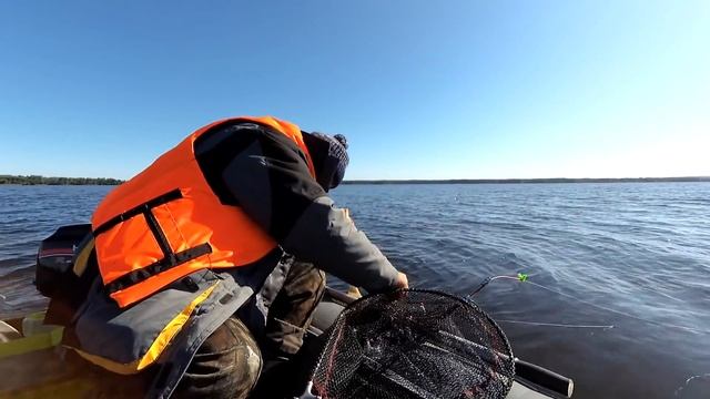 РЫБАЛКА НА ЛЕЩА!ЛОВЛЯ ЛЕЩА НА САЛО С ЛОДКИ!рыбалка на кольцо(на банки)2021 смотреть онлайн
