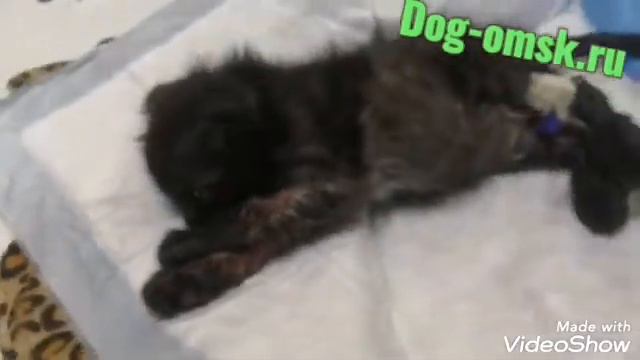 Чей-то "добрый" поступок смотреть онлайн