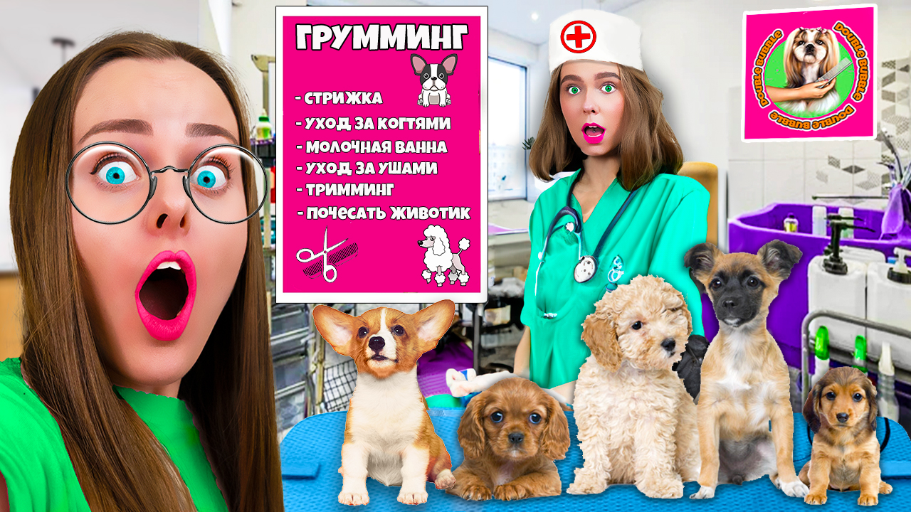 ОТКРЫЛИ СОБСТВЕННУЮ ПАРИКМАХЕРСКУЮ ДЛЯ СОБАК!?Готовимся к будущему питомцу моей сестры смотреть онлайн