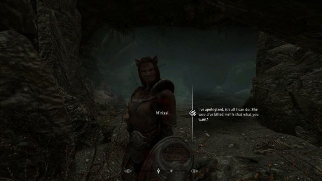 A NEW THREAT! Skyrim "M'rissi's Tails Of Troubles" Quest Mod (Part 4) смотреть онлайн
