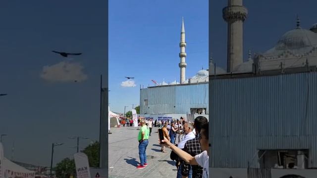 Танец Дервиша в Стамбуле смотреть онлайн