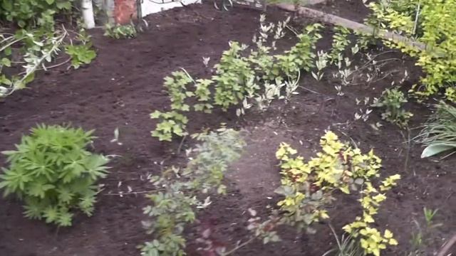 Обзор дачного участка на 4 06 17 смотреть онлайн