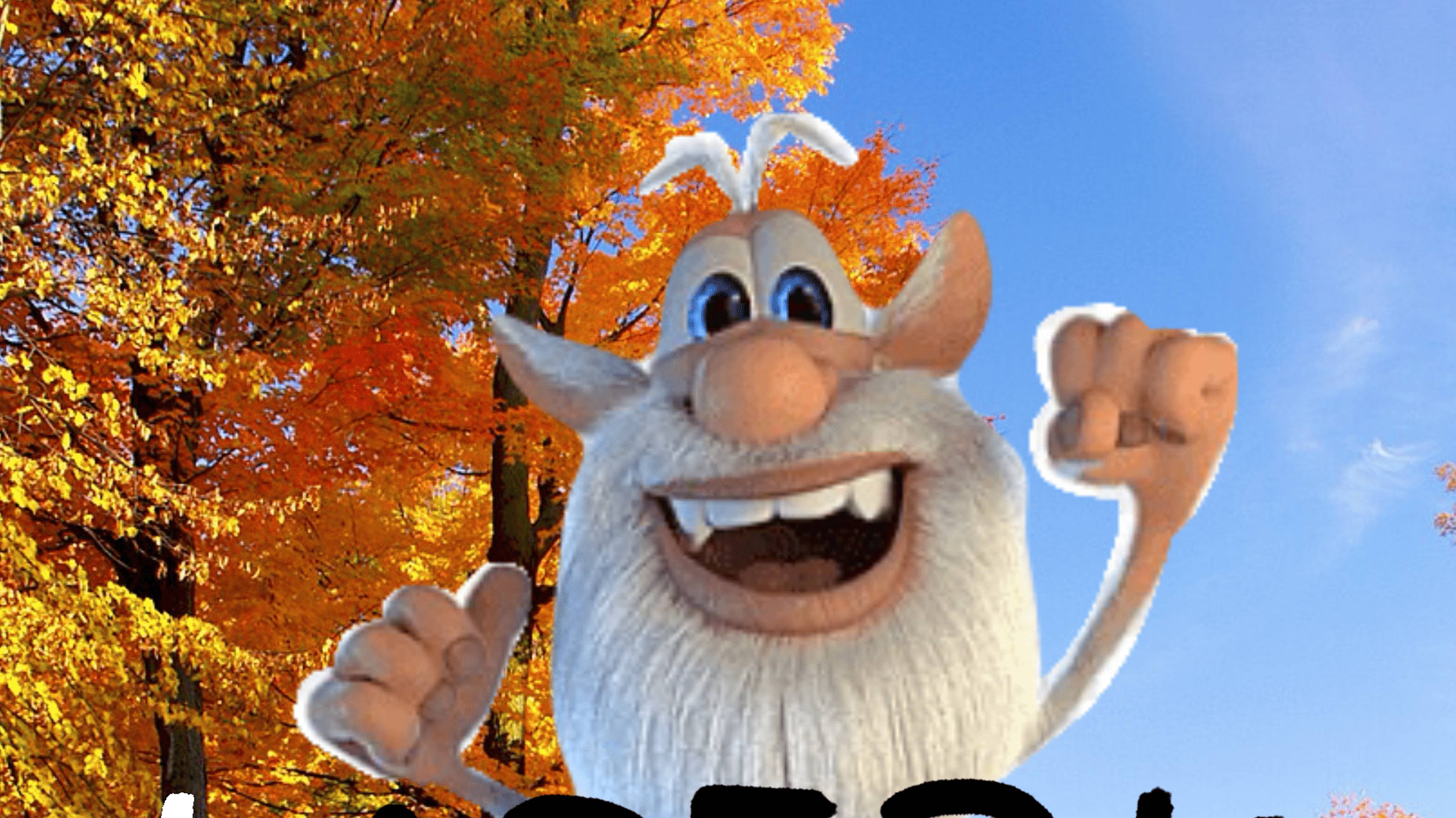 Top 5 Booba Moment's