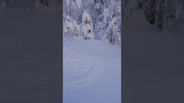 Ski-doo Renegade 1200 в пухляк. смотреть онлайн