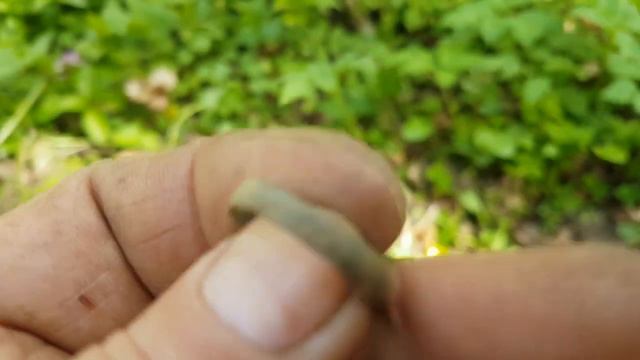 Коп Восточной Пруссии 2020.Поиск по немецким позициям!!! смотреть онлайн