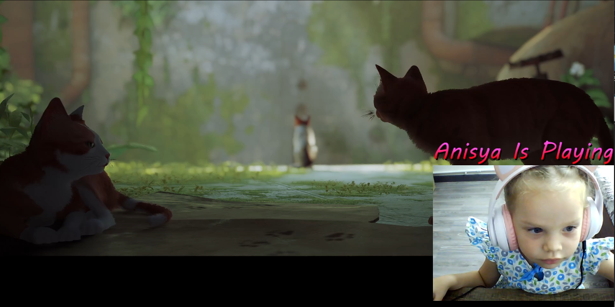 Играю в Stray смотреть онлайн