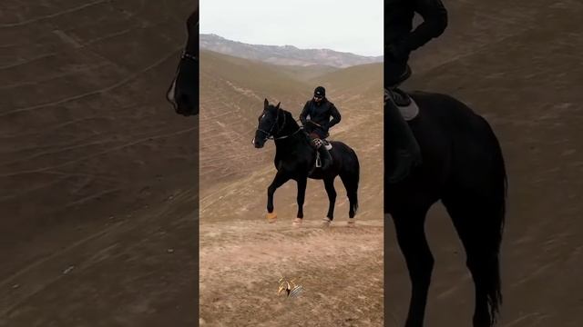 Исмоил Сохибов Ш Бохтар