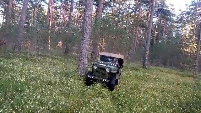 Виллис мини "Прогулка в лесу" смотреть онлайн